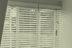 Made-to-Measure Blinds in Eastbourne, East Sussex